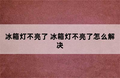 冰箱灯不亮了 冰箱灯不亮了怎么解决